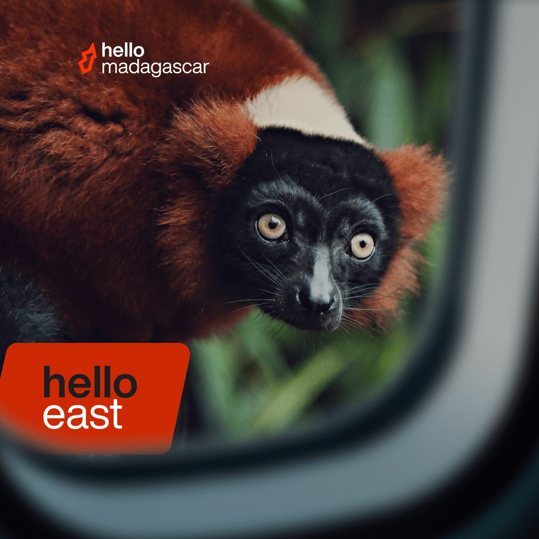 Hello East - Hello Madagascar